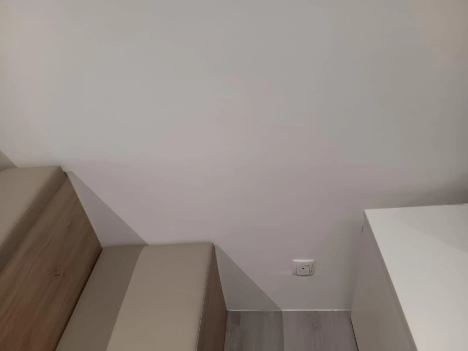 Professional Painting for Renovation & Property Improvement